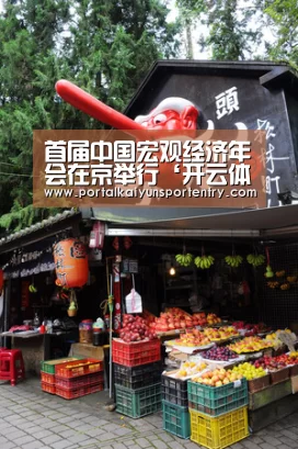 首届中国宏观经济年会在京举行‘开云体育数据中心’(图2) 开云体育官方