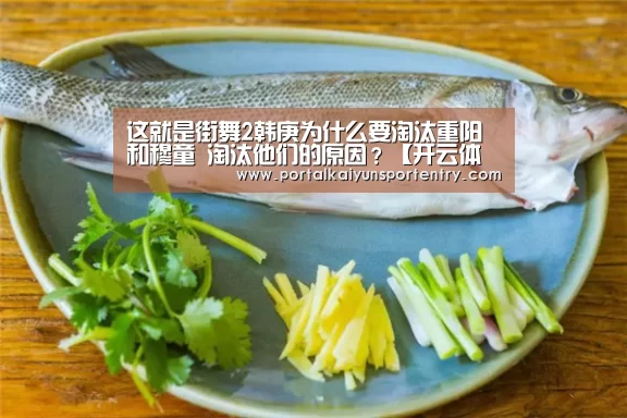 这就是街舞2韩庚为什么要淘汰重阳和穆童 淘汰他们的原因?【开云体育官网】(图2) 开云体育数据中心
