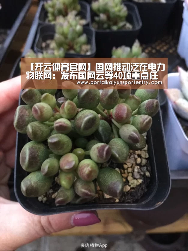 【开云体育官网】国网推动泛在电力物联网:发布国网云等40项重点任务(图1) 开云登录