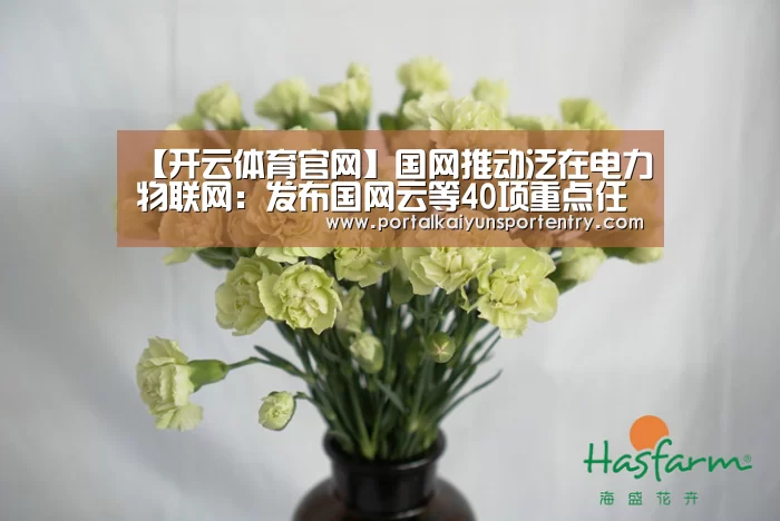 【开云体育官网】国网推动泛在电力物联网:发布国网云等40项重点任务(图3) 开云登录