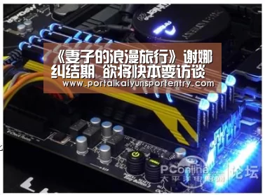 《妻子的浪漫旅行》谢娜纠结期 欲将快本变访谈节目‘开云体育官方’(图4) 开云登录
